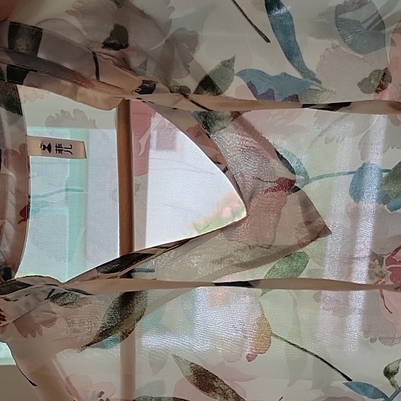 Sheer Floral Print Blouse - Picture 7 of 13